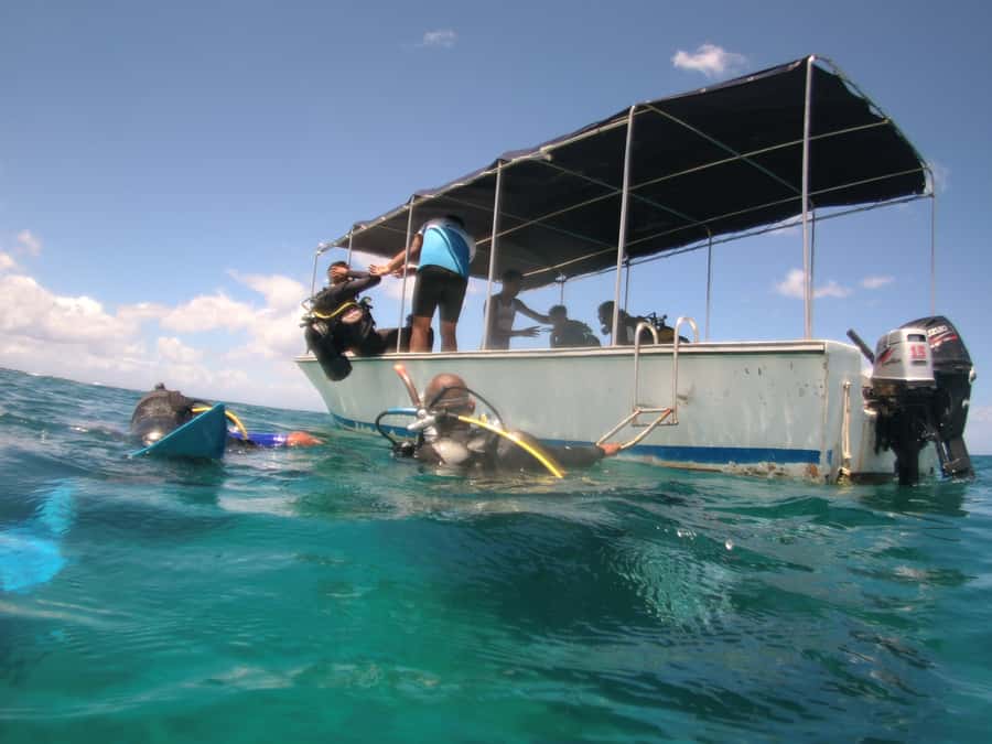 Mauritius: East Belle Mare Scuba Diving Tour - Price and value: is $158 per person reasonable?