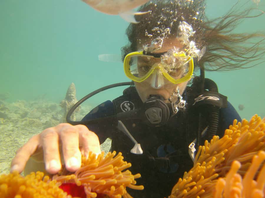 Mauritius: East Belle Mare Scuba Diving Tour - Picking East Coast vs West Coast when you book