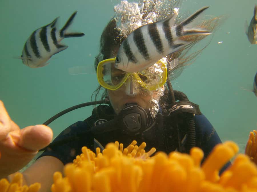 Mauritius: East Belle Mare Scuba Diving Tour - Who this scuba session suits best (and who should think twice)
