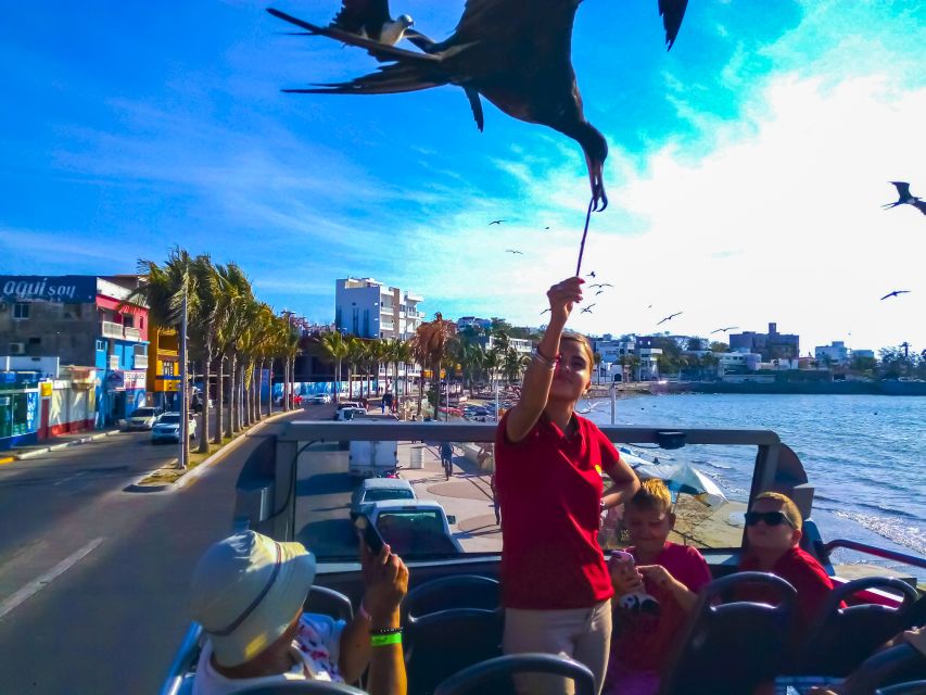 Mazatlán: Double-Decker Bus, Cliff Diving & Walking Tour - Weather rules and comfort: making the day actually enjoyable