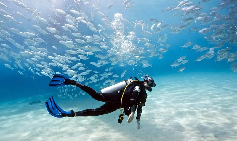 Mellieha: Introductory Diving Session in the Open Sea - Key points to know before you go in Marfa Bay