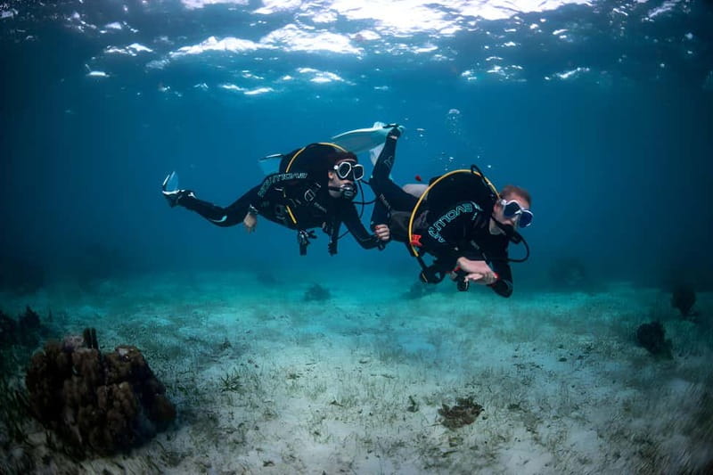 Mellieha: Introductory Diving Session in the Open Sea - Tips to make your first underwater lesson feel smooth
