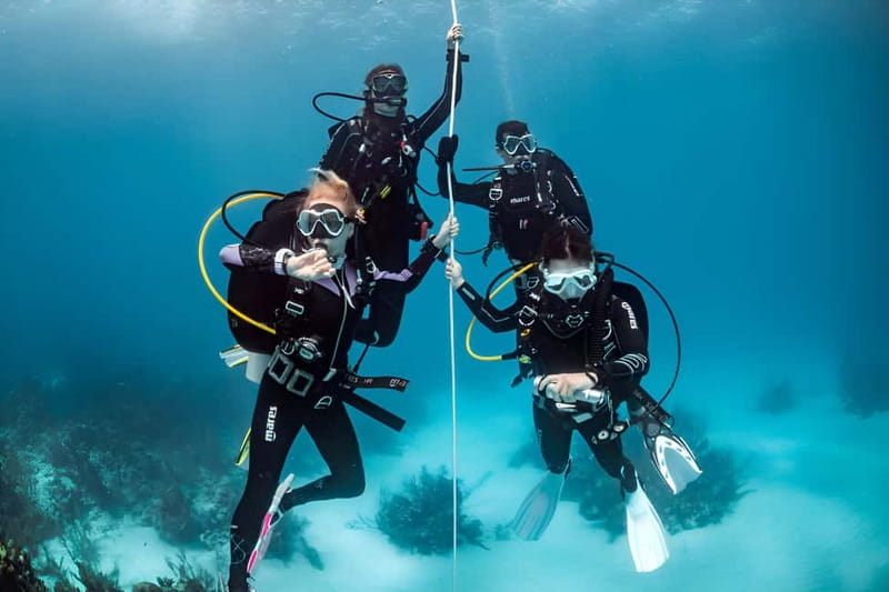 Mellieha: Introductory Diving Session in the Open Sea - Marfa Bay check-in at 2:00 PM: timing that matters