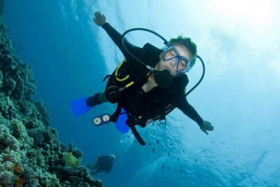 Menjangan Island Bali Diving Activity - Price, what it includes, and where the value comes from