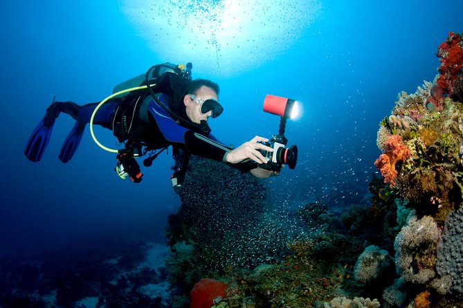 Menjangan island for Certified Scuba Divers full day boat trip, 2 dives + lunch - Certification rules: who should book this scuba day