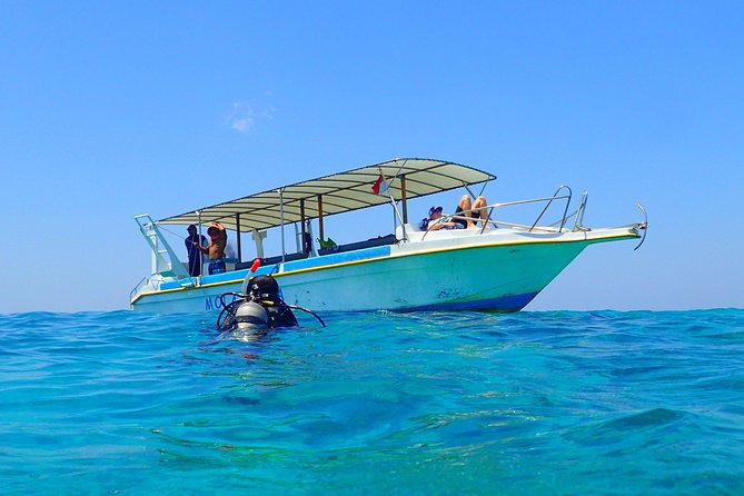 Menjangan island for Certified Scuba Divers full day boat trip, 2 dives + lunch - Pemuteran to Menjangan: Timing, pickup, and the 40-minute factor