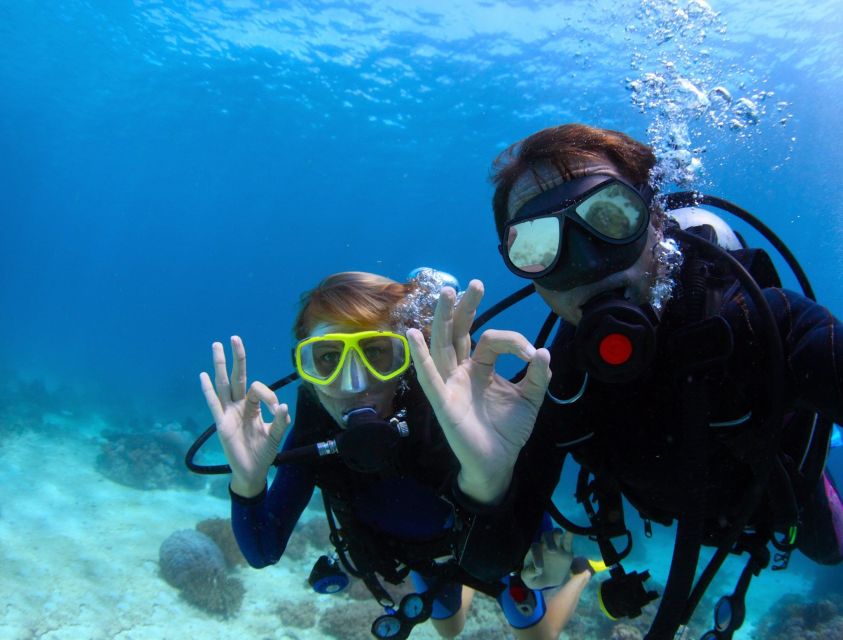 Menorca: Baptism Scuba Diving in Marine Reserve - Key things to know before you go