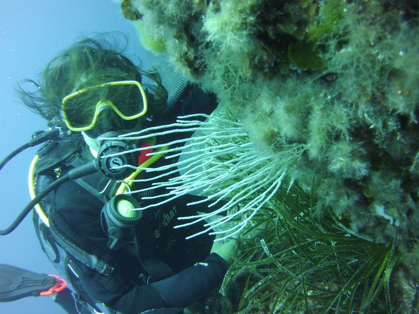 Menorca: Baptism Scuba Diving in Marine Reserve - Comfort tips that save your mood in the first 30 minutes