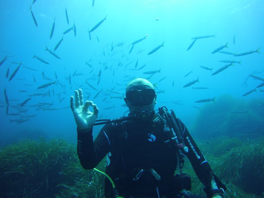 Menorca: Baptism Scuba Diving in Marine Reserve - What happens before you go underwater: video, gear, and practice