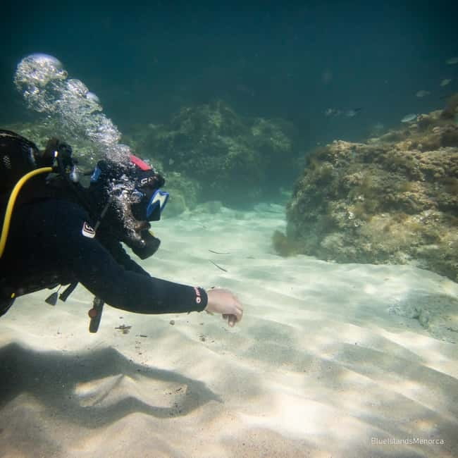 Menorca: Cala Galdana Try Scuba Diving for Beginners - What to Bring (and What to Plan For After)