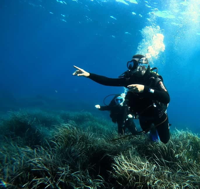 Menorca: Try scuba diving in Cala'n Bosch -BLUEWATER MENORCA - What happens underwater: about 60 minutes with guidance