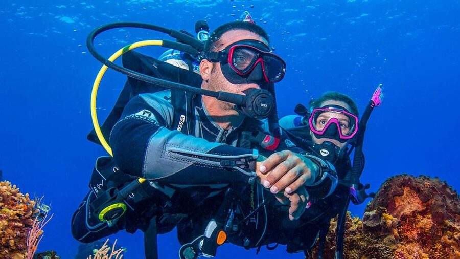 Miami Beach: Guided 2-Tank Reef and Wreck Dive Trip - Service Quality: Small Groups, Professional Staff, and Friendly Language Support