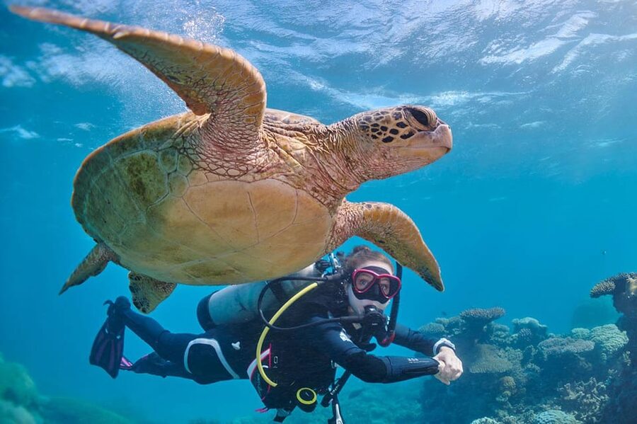 Miami Beach: Guided 2-Tank Reef and Wreck Dive Trip - Practical Tips So Your Day Feels Easier