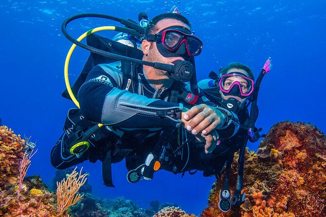 Miami Guided 2-Tank Scuba Diving: South Florida’s Reefs & Wrecks - A small-group morning on Miami Beach (with a real plan)