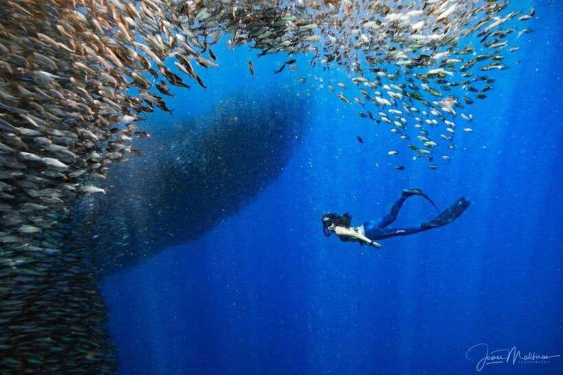 Moalboal: Scuba Diving and Pescador Island Hopping - Between sessions: the break time you’ll need