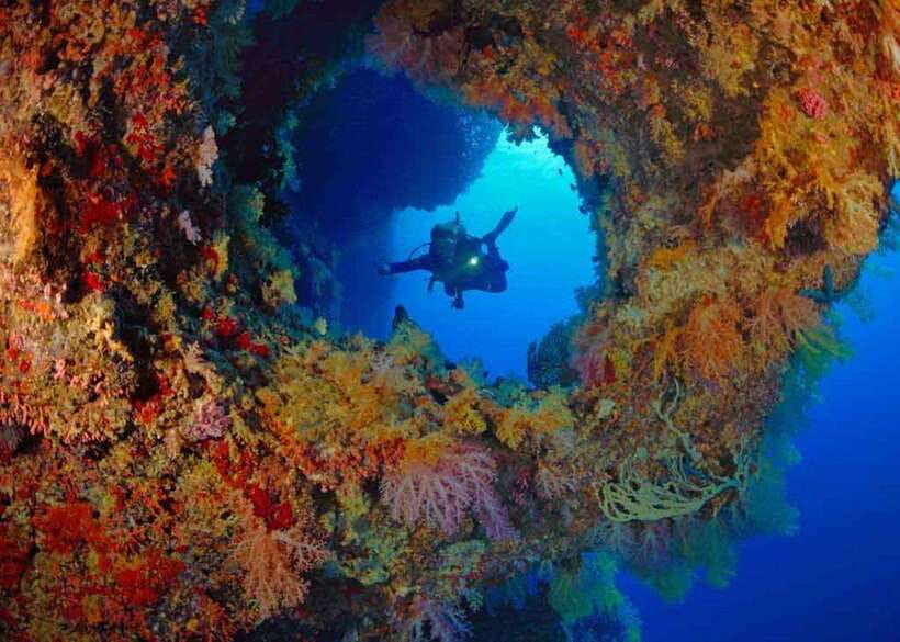Moalboal: Scuba Diving and Pescador Island Hopping - Price and value: what $168 covers (and what it doesn’t)