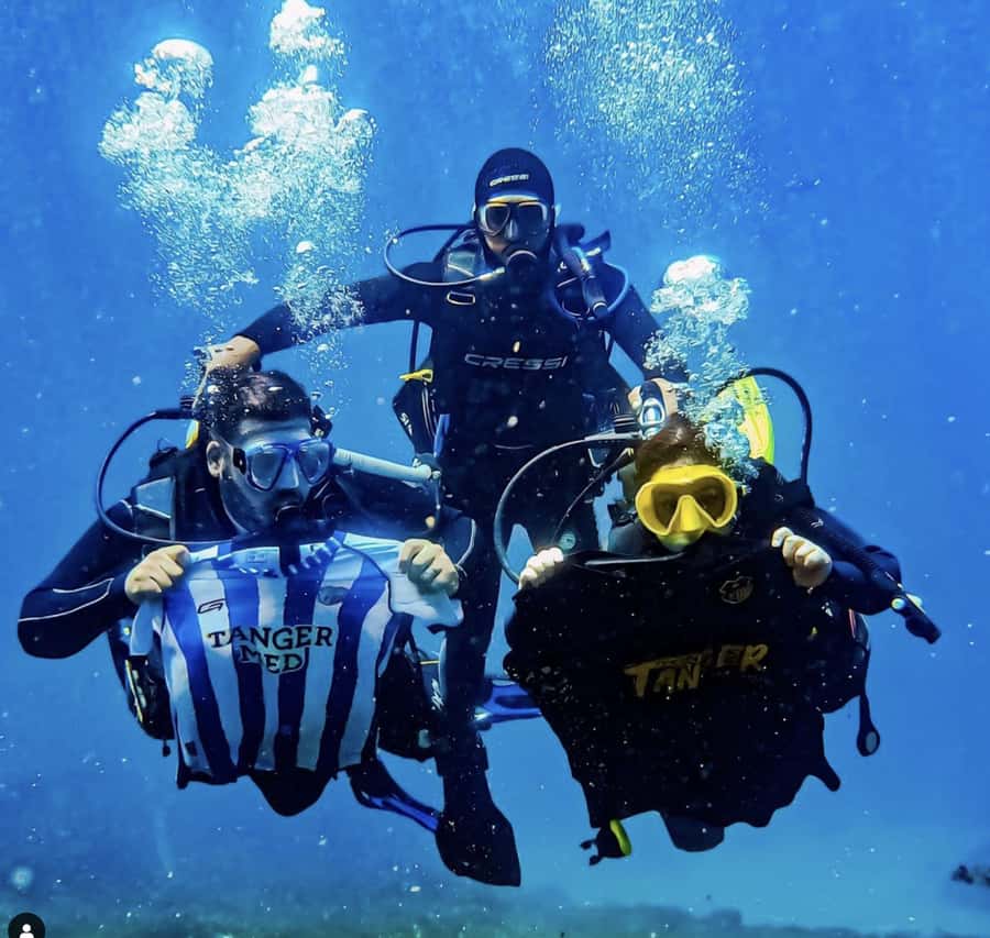 Morocco: PADI Discover Scuba Diving Dive - Your underwater menu in Morocco: starfish, octopus, anemones, and seaweed