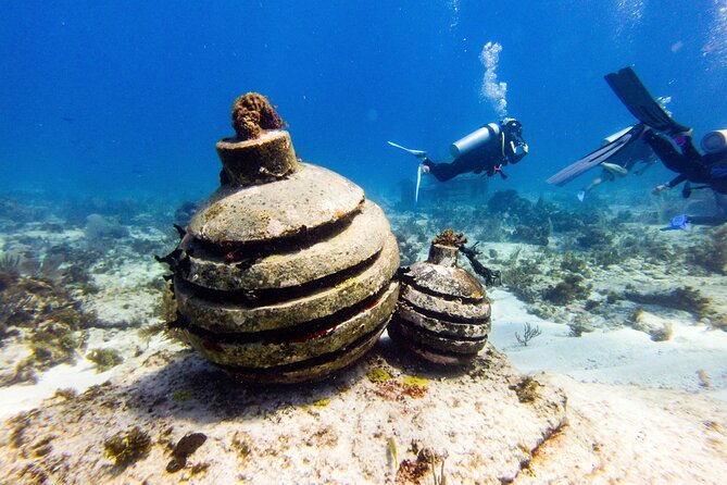 MUSA Museum and Colorful Reef 2 Tank Dive-Certified Divers - How the 2-tank schedule fits into a 4h30 day