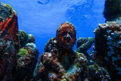 MUSA Museum and Colorful Reef 2 Tank Dive-Certified Divers - Manchones Reef: your second stop for native species