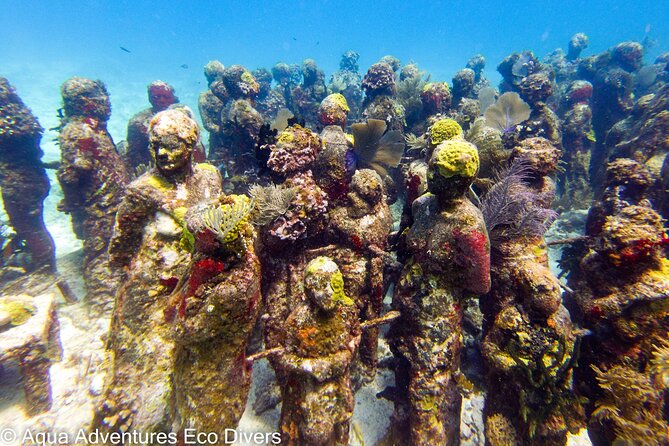 MUSA Museum and Colorful Reef 2 Tank Dive-Certified Divers - What’s included—and what costs extra