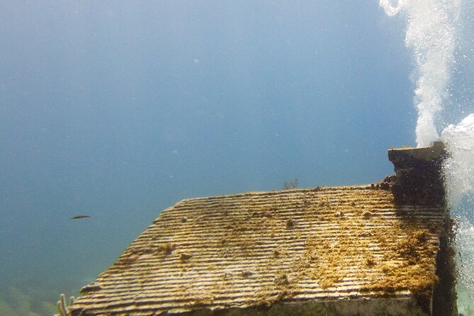 MUSA Museum and Colorful Reef 2 Tank Dive-Certified Divers - Where this experience shines (and who should pick it)