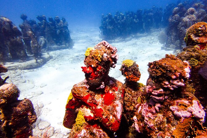 MUSA Museum and Colorful Reef 2 Tank Dive-Certified Divers - Should you book this MUSA and Manchones Reef 2-tank scuba trip?