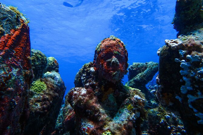 MUSA Museum and Colorful Reef 2 Tank Dive-Certified Divers - Manchones Reef: your second stop for native species