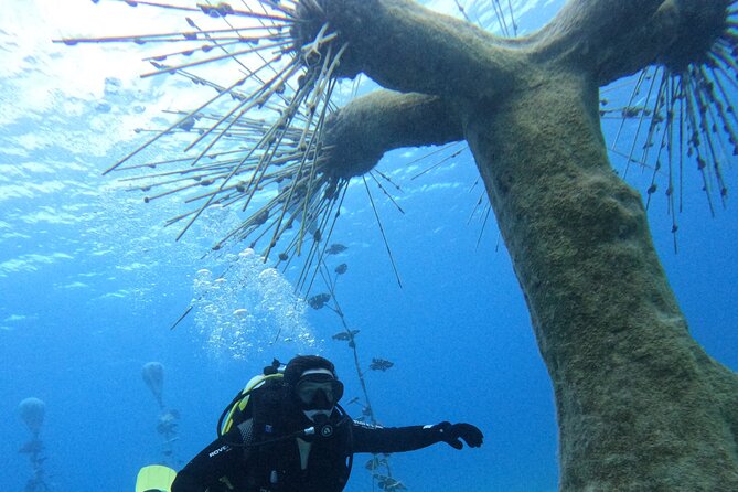 Musan Scuba Diving Private Adventure - Entering Musan’s underwater statue museum