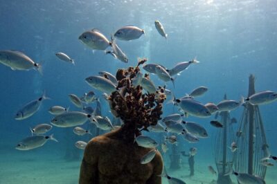 Musan Scuba Diving Private Adventure - The training part: equipment, theory, and shallow practice