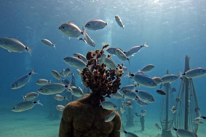 Musan Scuba Diving Private Adventure - The training part: equipment, theory, and shallow practice