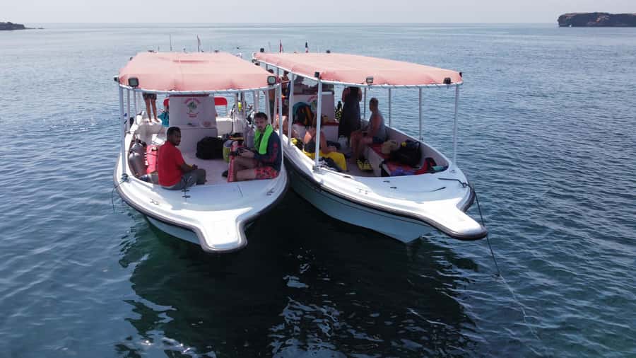 Muscat: Daymaniat Islands Scuba Diving for Beginners - Key highlights worth caring about