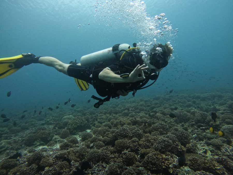 Muscat: Daymaniat Islands Scuba Diving for Beginners - Global Scuba and the small-group setup (limited to 4)