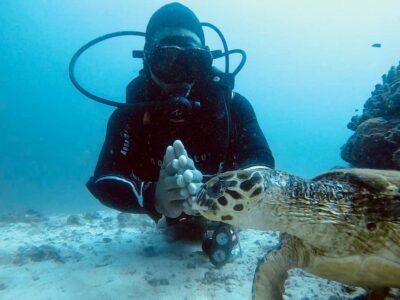 Muscat: Daymaniat Islands Scuba Diving for Beginners - The 8:15 AM plan: your morning starts simple