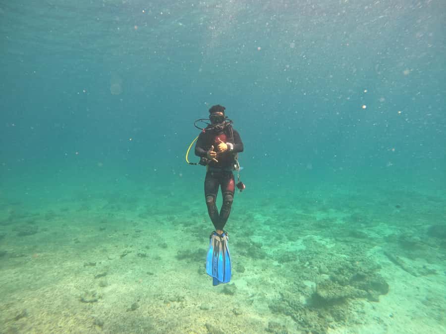 Muscat: Daymaniat Islands Scuba Diving for Beginners - Snorkeling after: seeing the same sea from a different angle