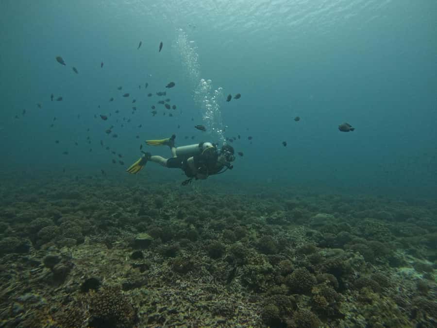 Muscat: Daymaniat Islands Scuba Diving for Beginners - Lunch and snacks on board: the “don’t get hangry” factor