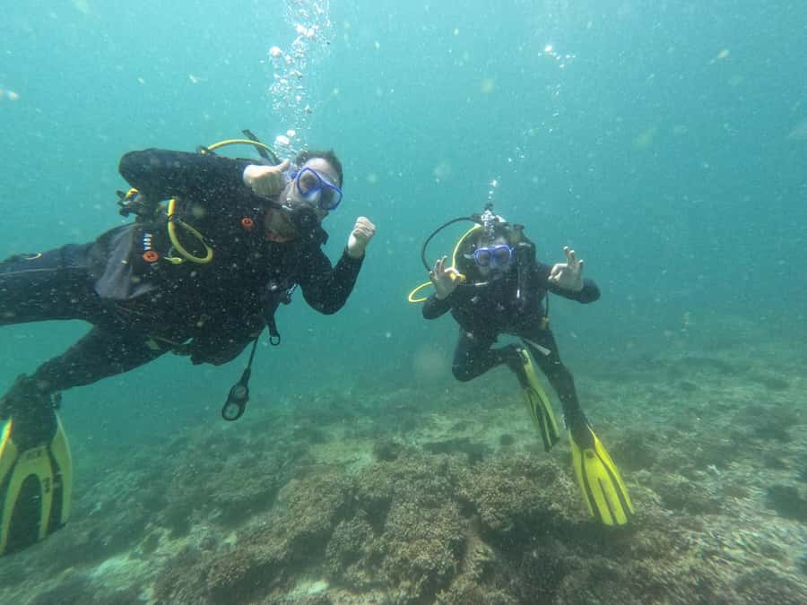Muscat: Daymaniat Islands Scuba Diving for Beginners - Price and value: is $194 worth it?