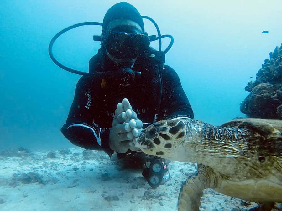 Muscat: Daymaniat Islands Scuba Diving for Beginners - The 8:15 AM plan: your morning starts simple