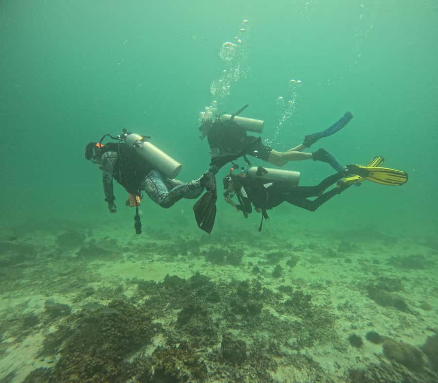 Muscat: Daymaniat Islands Try Scuba Diving - Daymaniyat Islands: the quick trip with real marine payoff