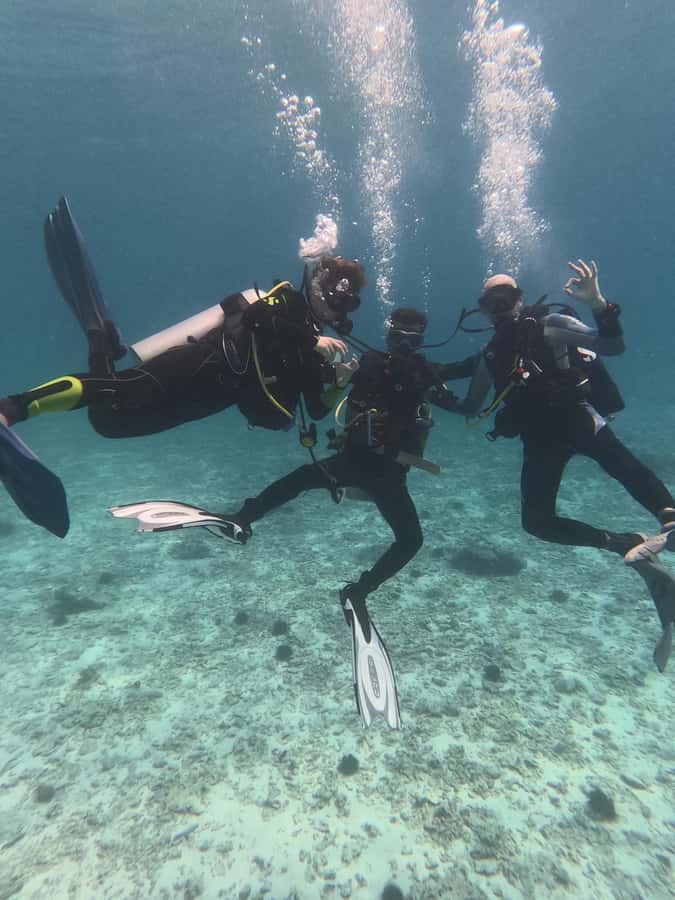 Muscat: Daymaniat Islands Try Scuba Diving - Guides and boat crew: calm, attentive, and organized