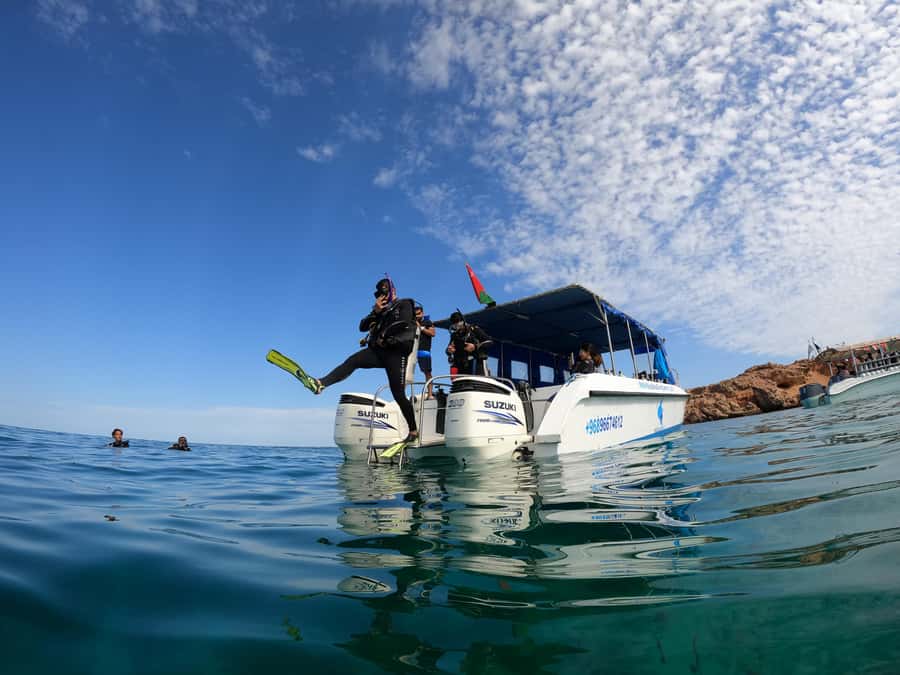 Muscat: Daymaniyat Island Scuba Dive 2 locations + BBQ Lunch - Why Daymaniyat Islands off Muscat are worth your tank time