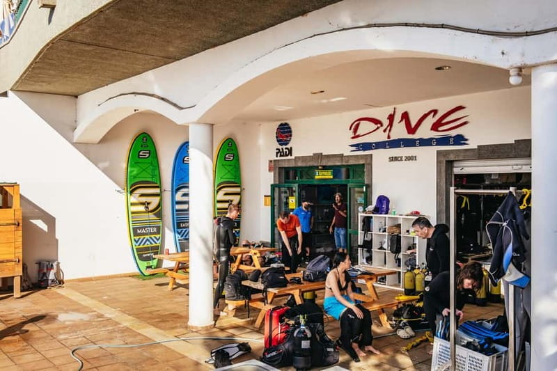 Museo Atlántico: Scuba Dive Lesson for Non-Certified Divers - Key things to know before you go