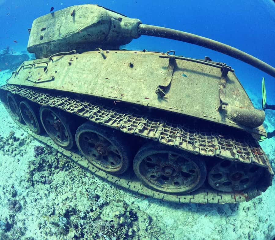 Museum Diving Experience in the Red Sea - Meeting Your Guides: Joo, Badr, and the Crew’s Safety Focus
