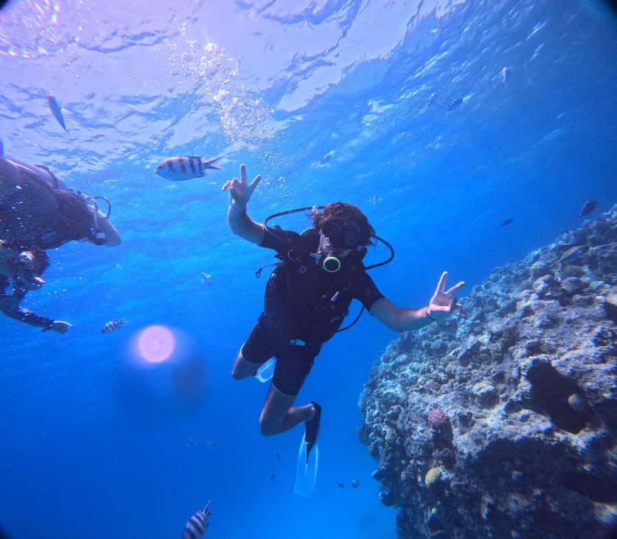 Museum Diving Experience in the Red Sea - Price and Value: $61 Base Ticket and the Fees That Can Add Up