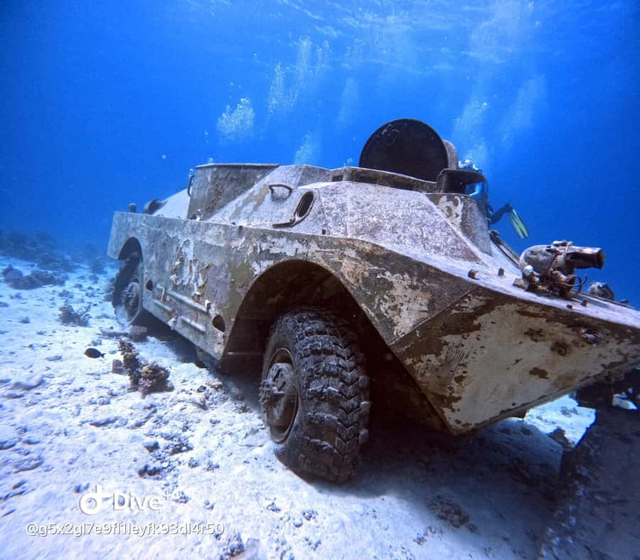 Museum Diving Experience in the Red Sea - Safety Rules and Small Restrictions That Matter