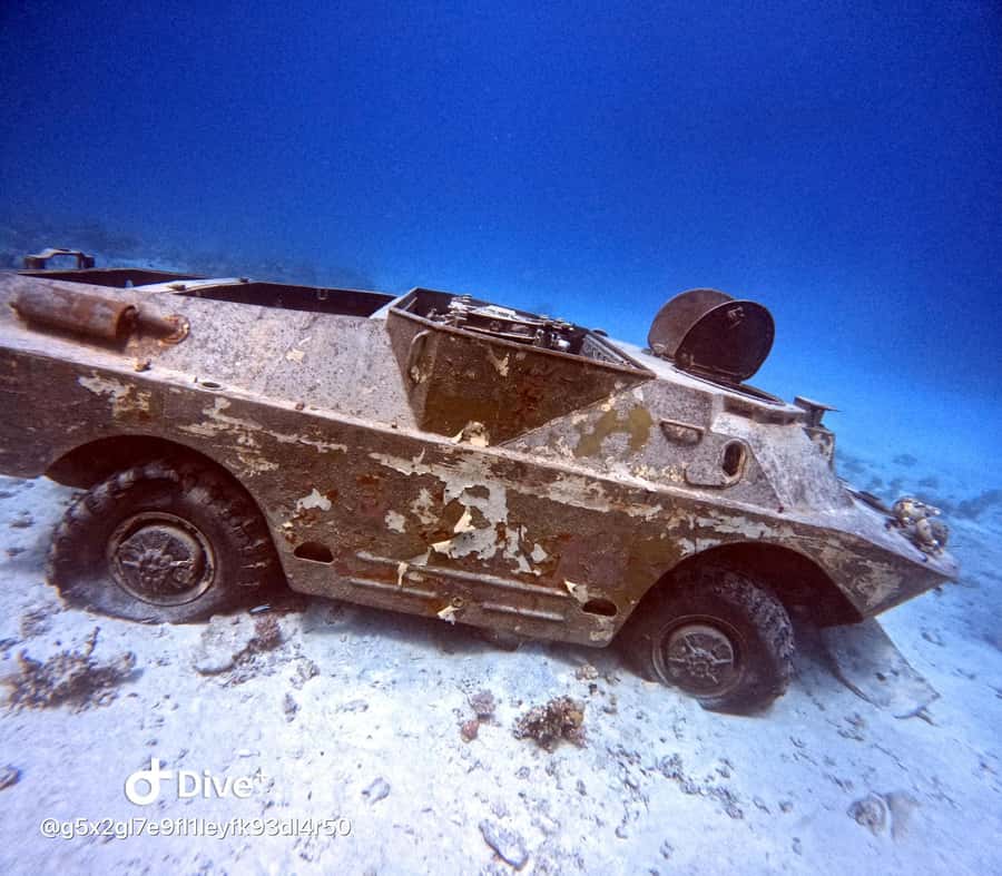 Museum Diving Experience in the Red Sea - Photos and Souvenirs: Turning the Day Into Keepsakes