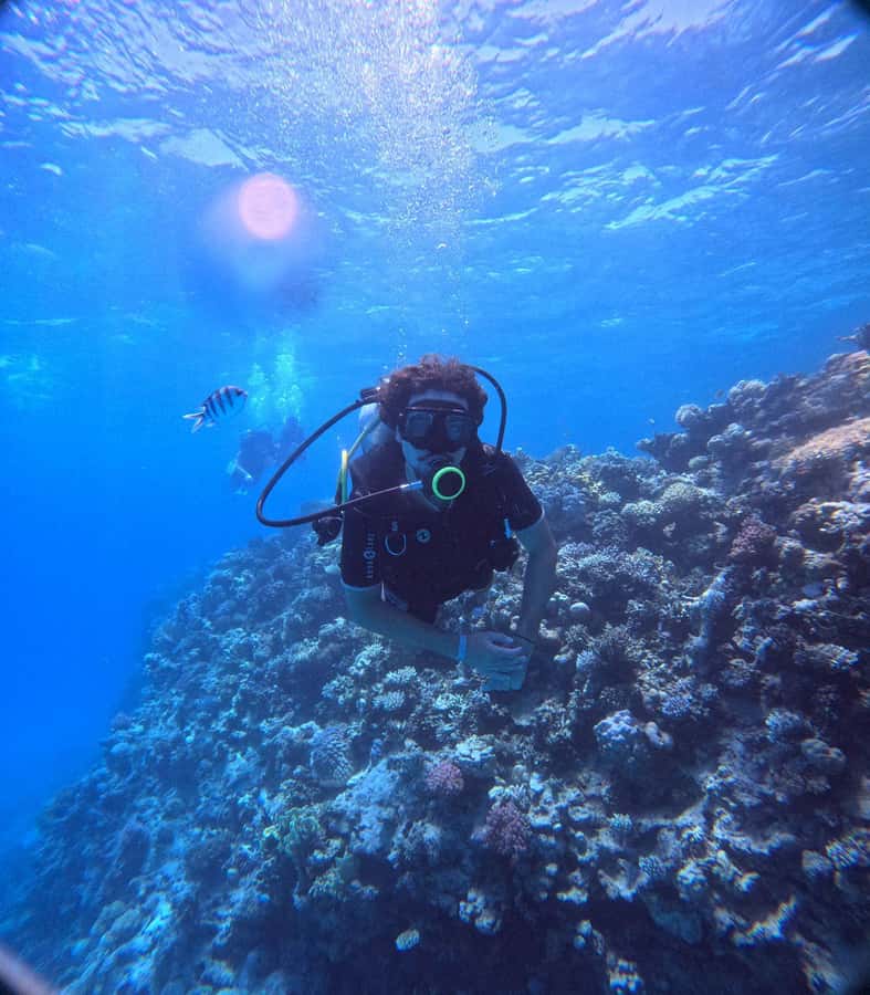 Museum Diving Experience in the Red Sea - A Possible Surprise: When You Expect a True Underwater Museum Tour