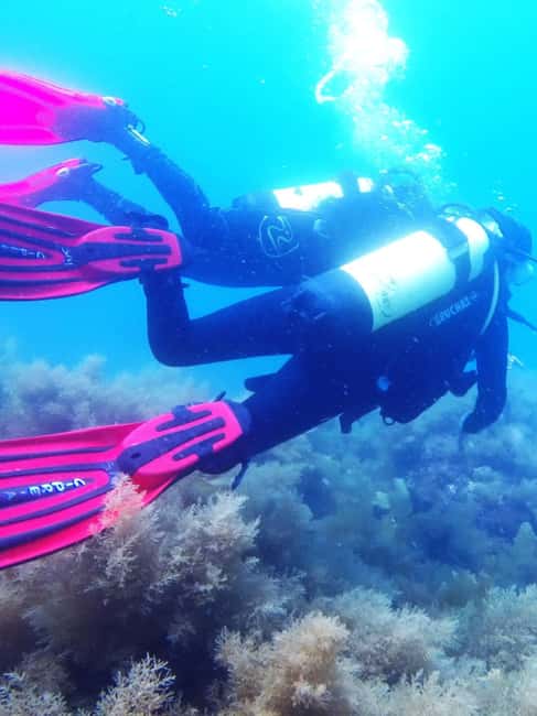 My first scuba dive into the Ocean from Sao Miguel - Where You Start: Marina de Vila Franca do Campo and a Simple Day Plan