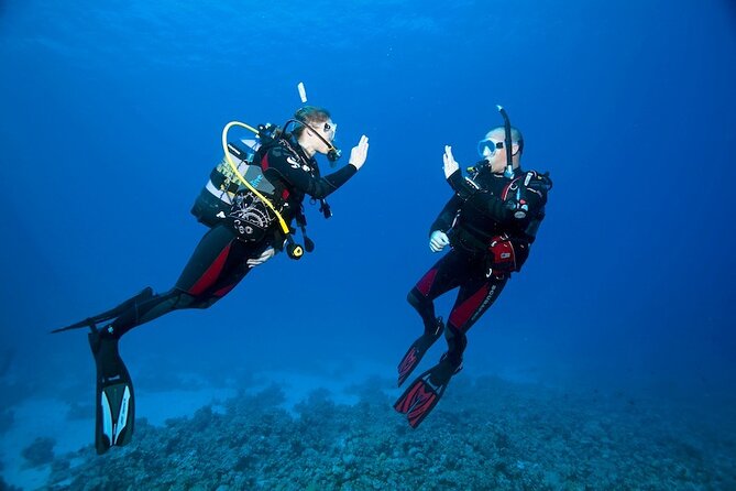 My first scuba experience in the Ocean - Key things to know before your Sesimbra scuba baptism