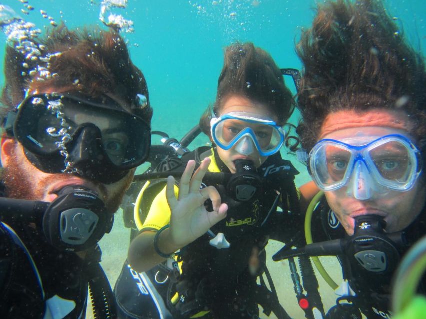 Mykonos: Scuba Diving Mini Program for Beginners - Marine life expectations: where Lia Beach can surprise (or not)