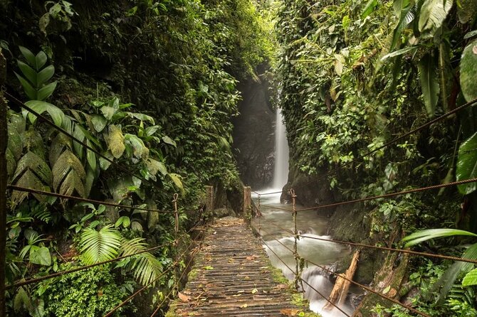 Mystical Mindo Marvels: A Daylong Dive into Nature's Dreamland! - Lunch Included: What That Means for Your Budget
